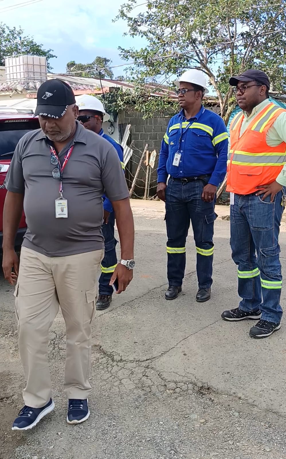 Accidente eléctrico con mamífero.