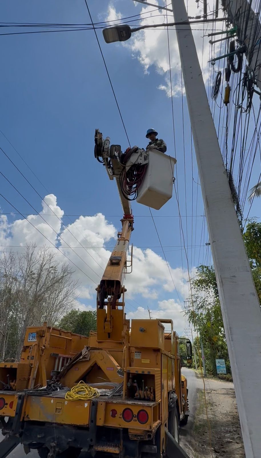 Edeeste trabajando.